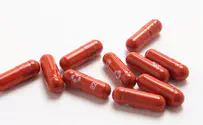 FDA panel backs Merck's COVID-19 pill