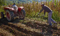 מכונת הזמן החקלאית - הסרטון והחידון