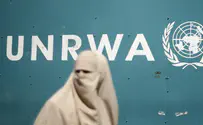 'A review of all UNRWA staff should be launched'