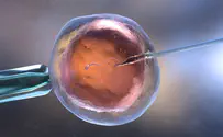 Jewish couples doing IVF uncertain about future after Roe's fall