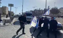 Arab boy grabs Israeli flag from hands of Jerusalem Deputy Mayor
