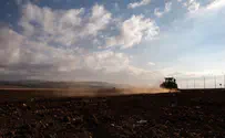 Украинский комбайн убирает зерно на горящем поле. Видео