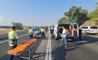 Yoav and Hanoch crossed the road to help victims - & were killed