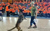 Israel Dog Unit holds exhibition for special needs NPO