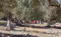 Jordanian Waqf dumps garbage on the Temple Mount 