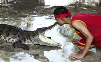 טרנד חדש בסין: התעמלות תנינים