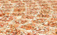 בגודל של אולם: הפיצה הגדולה בעולם