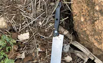 Attempted stabbing attack on Mount Hebron