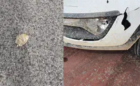 Террористы забросали камнями зятя министра Орит Струк