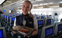 Falafel-based meals on selected flights today