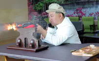 בהשתתפות הרודן: התרגיל שביצעה צפון קוריאה