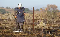 MoD working to clear mines in northern Israel
