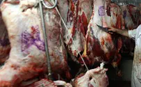לוס אנג'לס: בשר טרף נמכר ככשר למהדרין