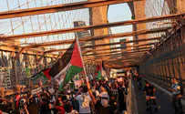 Pro-Palestinian Arab demonstrators burn Israeli flag