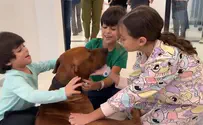 Children released from Hamas captivity meet their family dog