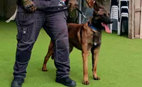 Beitar Ilit adds security dog to city defenses