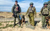 Israel Dog Unit continues search for Oct. 7 victims