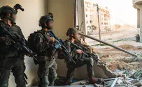 Terrorist hurls grenade at soldiers, is eliminated