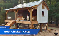 8 Best Chicken Coops on Amazon Reviewed