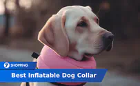 8 Best Selling Inflatable Dog Collars of 2024