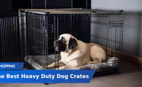 The Best Heavy Duty Dog Crates of 2024