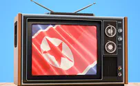 Зачем Северная Корея оставила Алана Титчмарша «без штанов»?