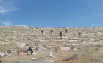 Arab mob attacks Jewish shepherd