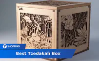 Best Tzedakah Box of 2024