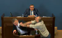 קטטה בפרלמנט הגיאורגי