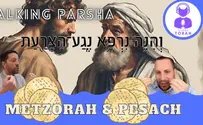 Talking Parsha - Metzorah & Pesach: What are Nega’im??