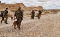 Israel Dog Unit's exercise with the IAF in the Negev