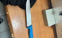 Террористка прибыла с ножом и двумя детьми