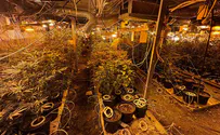 Watch: Police uncover large underground cannabis lab in the Negev