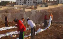 PA  Arab Attacks Jewish Farmer with Hoe