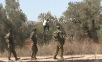 IDF Video: Don't Worry, We're Safeguarding Arab Olive Harvest