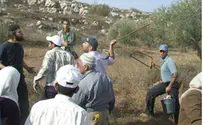 Arab Mob Ambushes Jews Praying in Samaria