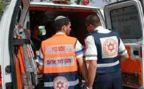 Magen David Adom and Hatzalah to Make Peace, Cooperate