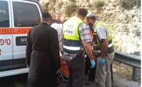 Three Dead as Arab Truck Hits Israeli Vehicle