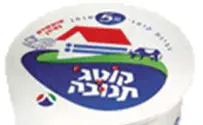 The Great Cottage Cheese Protest of 2011 Reaches Knesset
