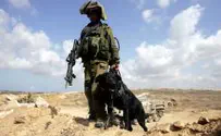 IDF Mulls Use of Attack Dogs to Quell Riots