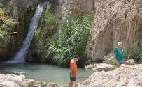 Ein Gedi: Spring of the Goats, Oasis of Lush Beauty