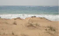 חוף אילת - הנקי והמטופח ביותר בארץ
