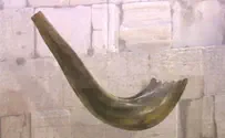Shofar From Temple Mount Liberation Exhibited in Jerusalem