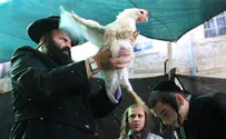  Chabad's Kaparot Chicken Help the Needy