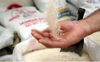 הרב משה ויא: אין זן חדש של תולעים באורז