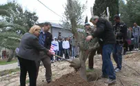 Video: Ambassador Shapiro Plants an Olive Tree on Tu B'shvat