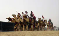 Camel Merchants Threaten Cairo Siege