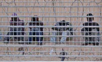 Eritreans on Border: 2 Women, Child Let In, the Rest Not
