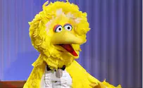 Sesame Street Asks Obama Campaign to Pull Big Bird Attack Ad