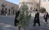 Christmas Tree Gone from Jaffa Gate